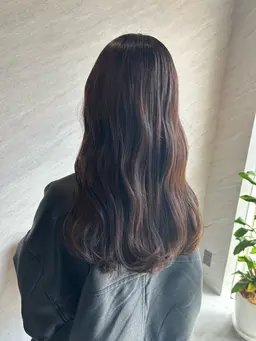 ワンカラー＋2STEPトリートメント