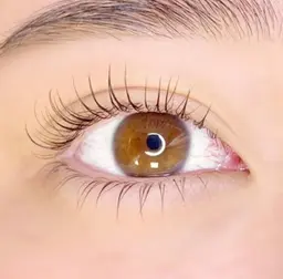 下まつ毛エクステ　超軽量フラットラッシュ　40本まで