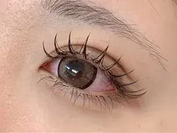 【下まつげ30本】🤍