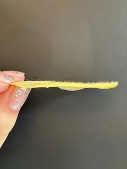 【人気no.1✨】バイオウォーミーパック