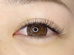 ボリュームラッシュ80束🩷（オフなし）　　　　　　　　　　　　《1月20日限定》