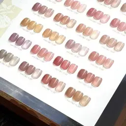 ワンカラー【オフ別途500円】