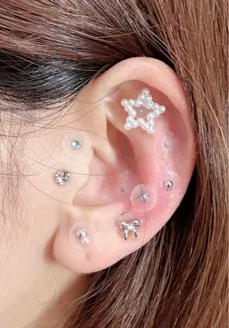 耳つぼジュエリー 両耳合計20粒 premium plan