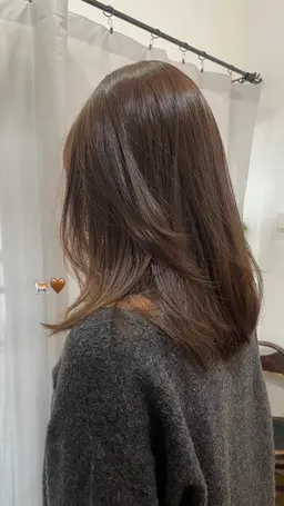 🐈‍⬛カット(シャンプーブロー代)🐈‍⬛