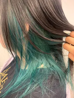 インナーカラーorイヤリングカラー¥9000