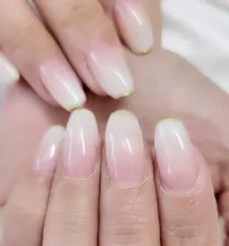 minimo限定【カラーグラデーション】