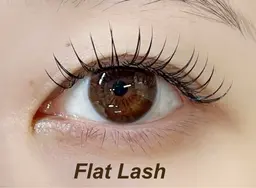 マツエク/フラットラッシュ/ 100本　¥4400