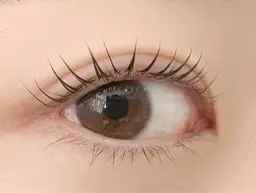 🚨1名様限定👀まつげパーマ2000円（3種のトリートメント付、デザイン選択可能）1/23日（金）12:00​〜​のみ