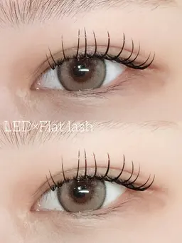 🍁2月限定🍁フラットラッシュ120本 オフ無料 ×LEDオフ不可×