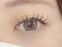 スピードコース💫LEDフラットラッシュ40本 オフなしのみ