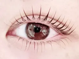 【モデルメニュー📷💕】パリジェンヌ＋TRコーティング🌷撮影okな方限定◎