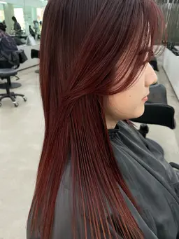 【weekday only】Cut + Color +バイカルテ2step treatment˚✧₊