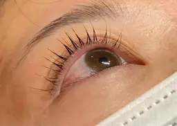 🎄12月限定🎄eyelashまつ毛パーマ　コーティング付き⭐️　¥4,950→¥4,400