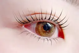 ⭐️ミニモ限定練習モデル⭐️上下まつ毛パーマ