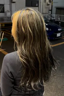 ‪‪❤︎‬🦩ハイライト🦩‪‪❤︎‬