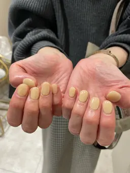 【オフなし】ワンカラー・グラデーション