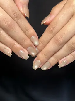 🎀3月15日限定🎀マグネット 🫧オフ無料