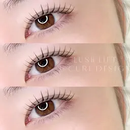 まつげパーマ or パリジェンヌラッシュリフト୨୧