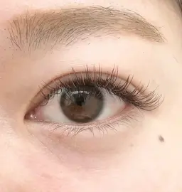 【当日予約限定】フラットラッシュ　ブラックorカラー120本まで(オフありOK)