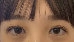 3/28(土)14:00限定【無料モデル】マツパ上＆ハリウッドブロウリフト所要時間120分