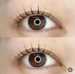 【クリスマス🎄】まつげパーマ➕アイシャンプー➕コーティング付✨通常5300→4000🍀.*