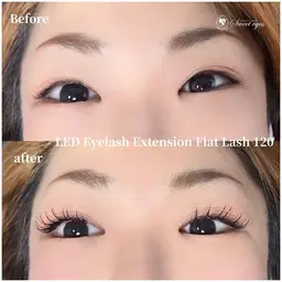 人気No.2☆【ナチュラル感no.1】LEDフラットラッシュ120本  アイシャン・オフ付き11,970→7,190円