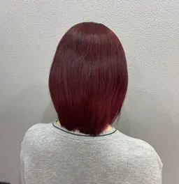 ブリーチなしダブルカラー🩵