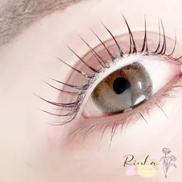 フラットラッシュ 160本🤍🏹  ̖́- ✨️自まつ毛の負担を最小限にしながら持続力UP‼︎✨️