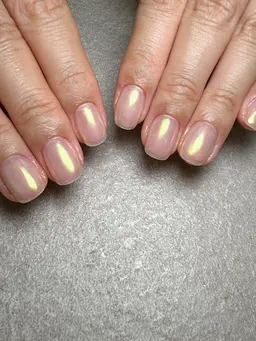 【オフあり】ハンドマグネット・ミラーネイル