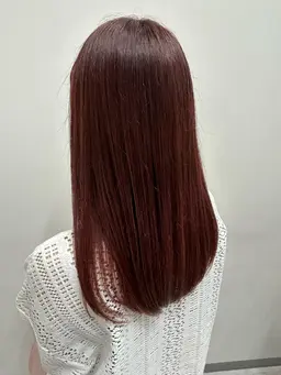 ワンカラー🐶❣️