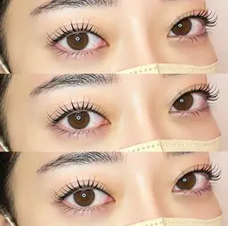 【 4月5日まで無料モデル 】 パリジェンヌラッシュリフト / オフ無