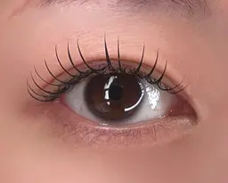 【3月限定🌸フォトコンテストモデル】フラットラッシュ※撮影OKな方※パーマ残りがない方