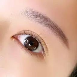 【平日限定4/17まで】アイブロウ☆美眉WAX練習モデル（※補足説明要確認！）