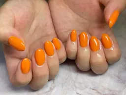 【オフ無】ワンカラー（保証なし）