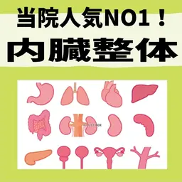 【内臓整体】 (初回限定) 体調不良やダイエットなど万能コース💪内臓の黄金比を手に入れて中から綺麗に✨️骨盤矯正付