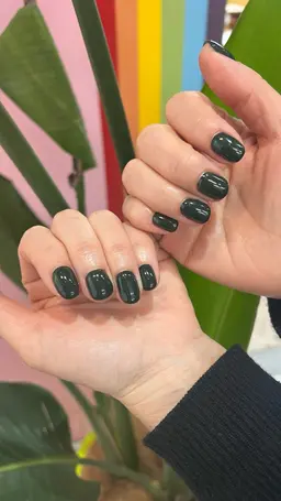 オフ無し　ワンカラー