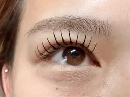 フラットラッシュ100本