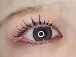 【当日限定】 パリジェンヌorまつげパーマ土日祝日＋500円 ✨ウルツヤまつ毛✨