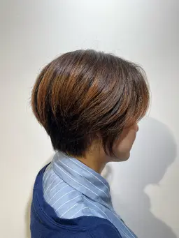 【本日限定】レディースショートカット　⚠️2​〜​3センチ切れる方
