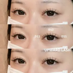 【初回オフ無料】🍎アップワード&フラットラッシュ120本まで🍎