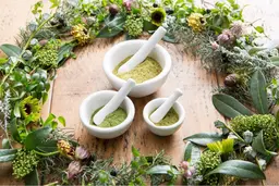 【ヘナリストの脱白髪染め💆🏻‍♀️】リコヘナカラー＋トリートメント🌱頭皮環境を改善しエイジング毛を艶髪に変える🌈