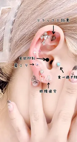 耳つぼジュエリー10粒