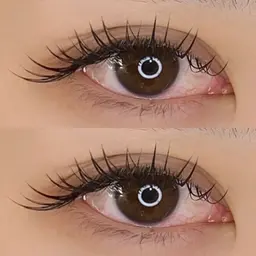 最高級フラットラッシュ　つけ放題