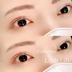 《今だけ特別価格》🩷ご新規様のみ🩷【⠀美眉スタイリング×パリジェンヌラッシュリフト】🦋9800円→8800円🩷