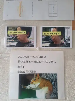 JHA レイキできれい小顔矯正45分