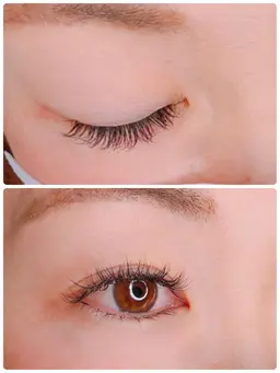 フラット・シングルラッシュ(両目100本)