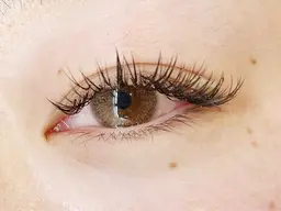 【初回】バインドロック🩵オフ込み🩵120束