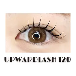 【オフ込み】アップワードラッシュ120本
