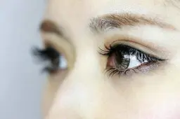 LED★バインドロック60束【当店オフ込み】