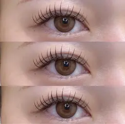 minimo限定🧸フラットラッシュ黒120本🧸🪞